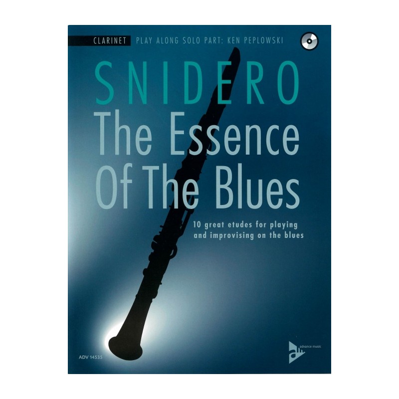 THE ESSENCE OF THE BLUES