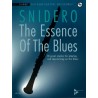 THE ESSENCE OF THE BLUES