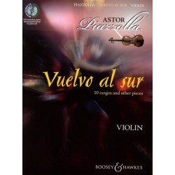 VUELVO AL SUR