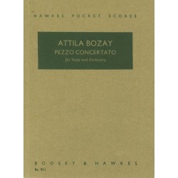 PEZZO CONCERTANTE