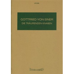 DIE TRAUMENDEN KNABEN