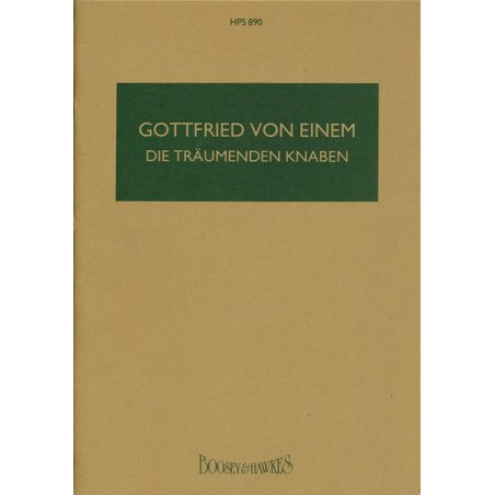 DIE TRAUMENDEN KNABEN