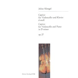 CAPRICE D-MOLL OP.27