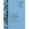 KONZERTE BWV.1041-1042-1043