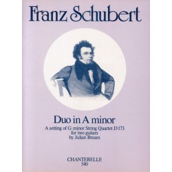 DUO IN A MINOR
